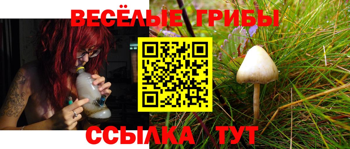 Галлюциногенные грибы Magic Shrooms  Вход с VPN  Братск 