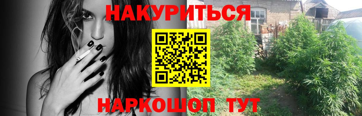Шишки марихуана планчик  Вход с VPN  Бошки марихуана конопля  Братск 